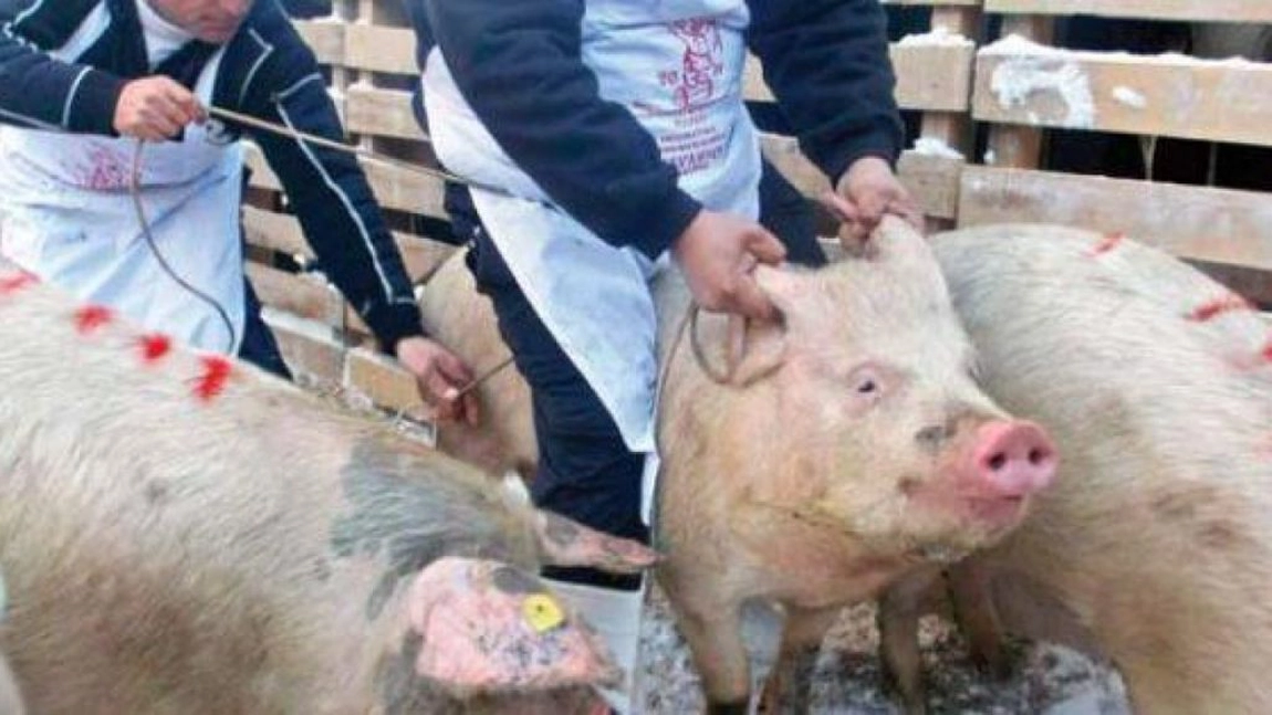 Autoritățile din România au anunțat stare de alertă și au transmis că ne confruntăm cu un pericol major