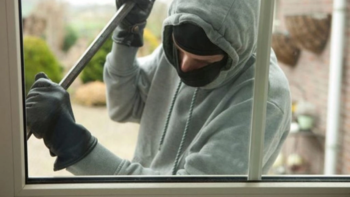 Arest la domiciliu pentru patru tineri care au furat animale