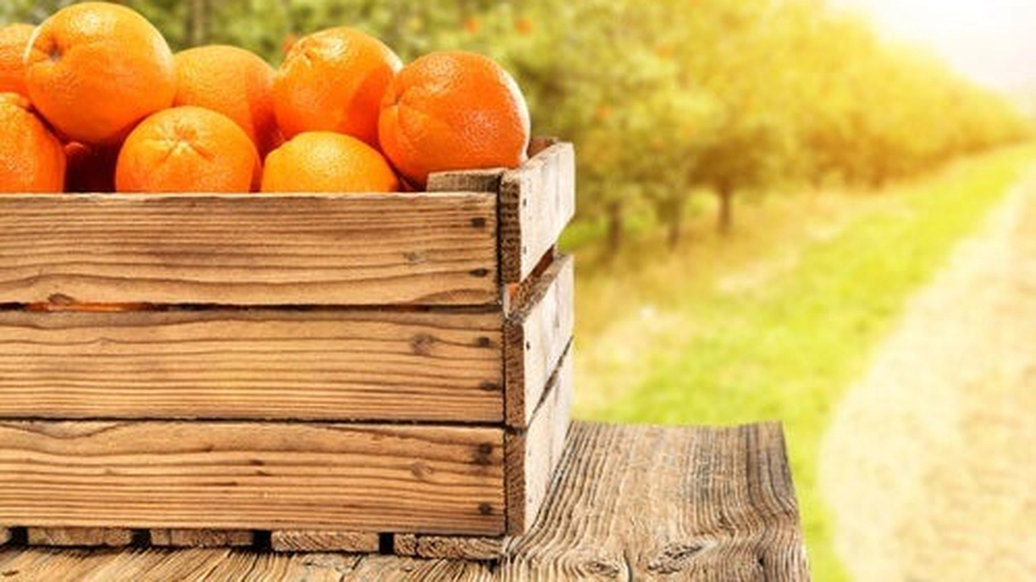 Mic dejun cu citrice. De ce e recomandat?
