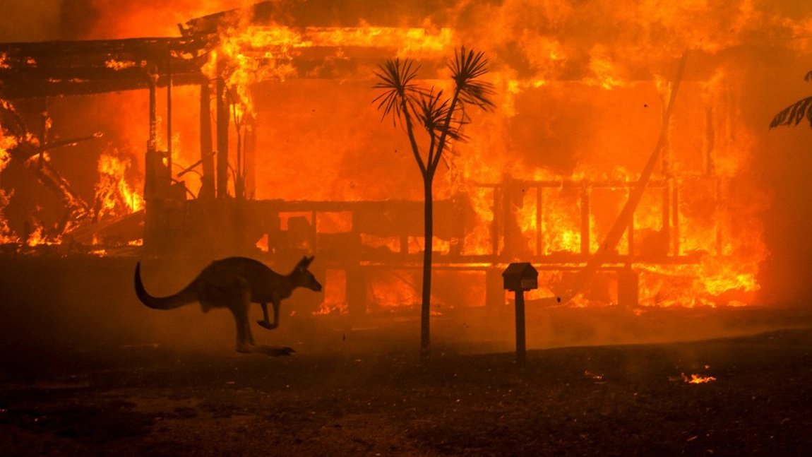 Incendiile din Australia s-au unit. Suprafaţa totală afectată este de 500 000 hectare - VIDEO