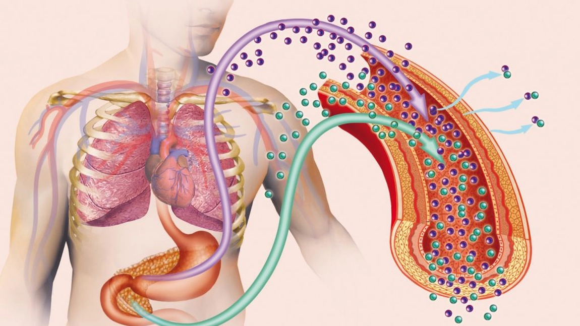 Diabetul, un precursor al cancerului pancreatic