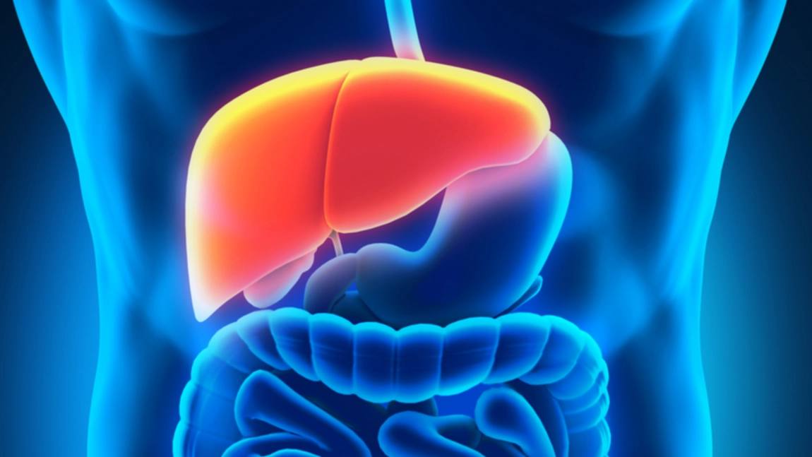 Grăsimea și zahărul, marii dușmani ai ficatului