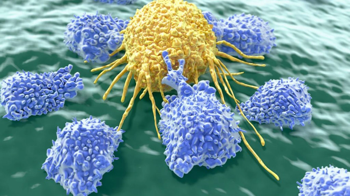 Sistemul imunitar este orbit de celulele canceroase