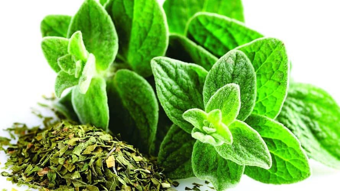 Plante favorabile pentru plămâni inflamaţi