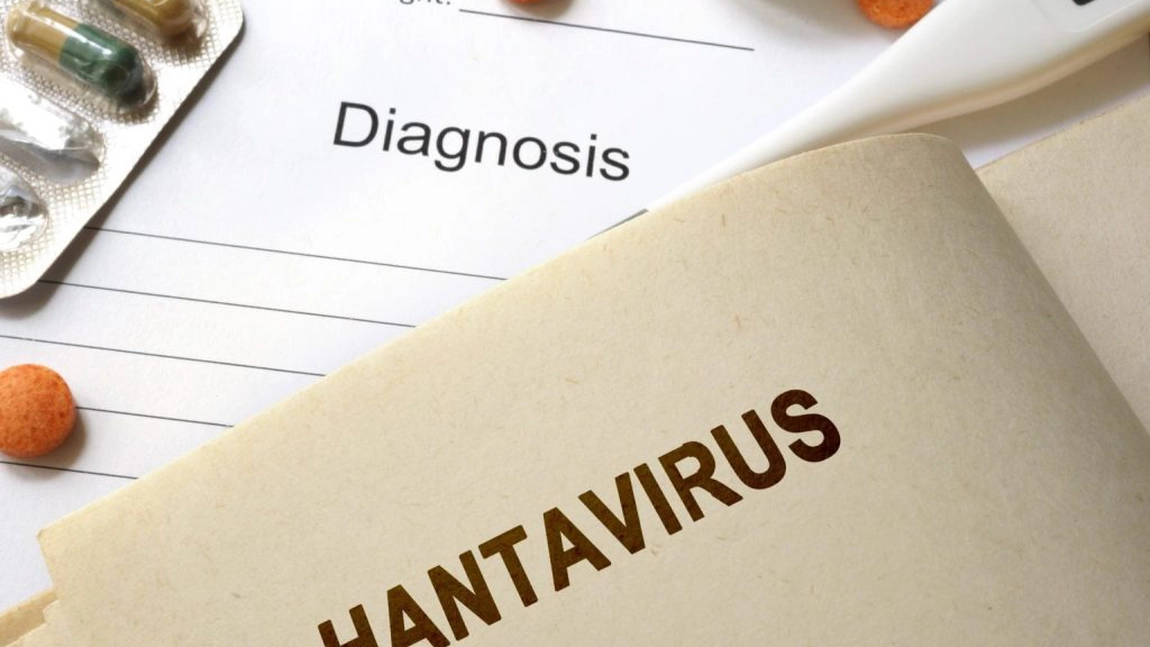 Un virus asemănător cu coronavirusul este prezent în China. Ce este hantavirusul