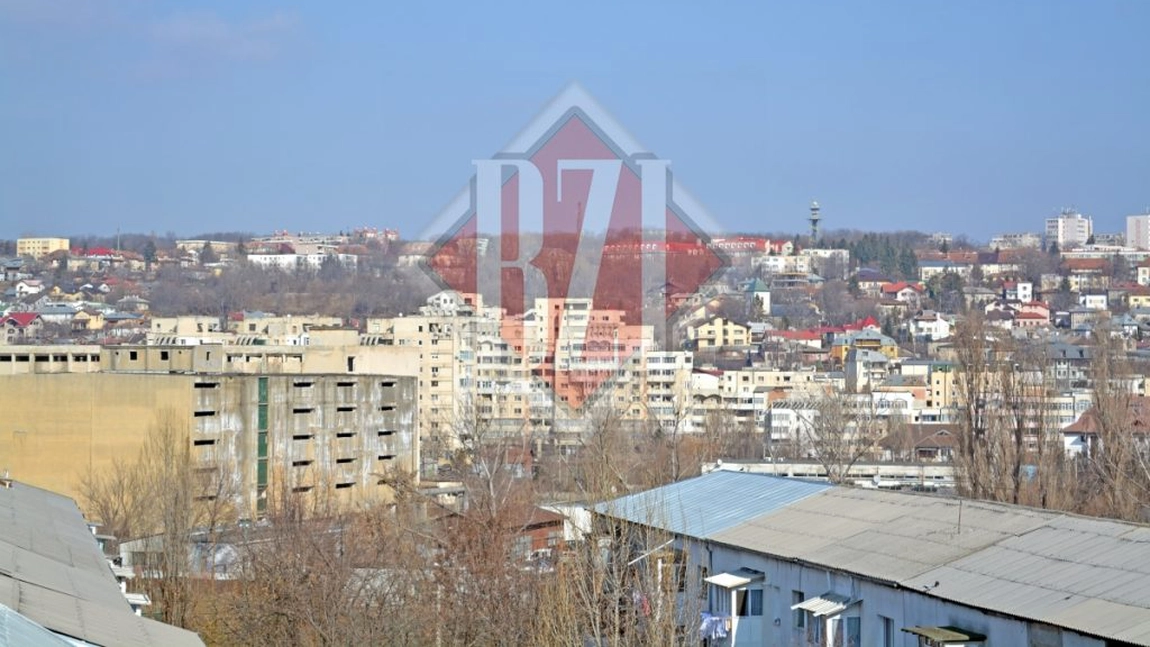 Premieră! O firmă din Iași vrea să spargă gheața și să preia serviciile de utilități din marile orașe ale României. Parlamentarii vor da decizia finală - FOTO