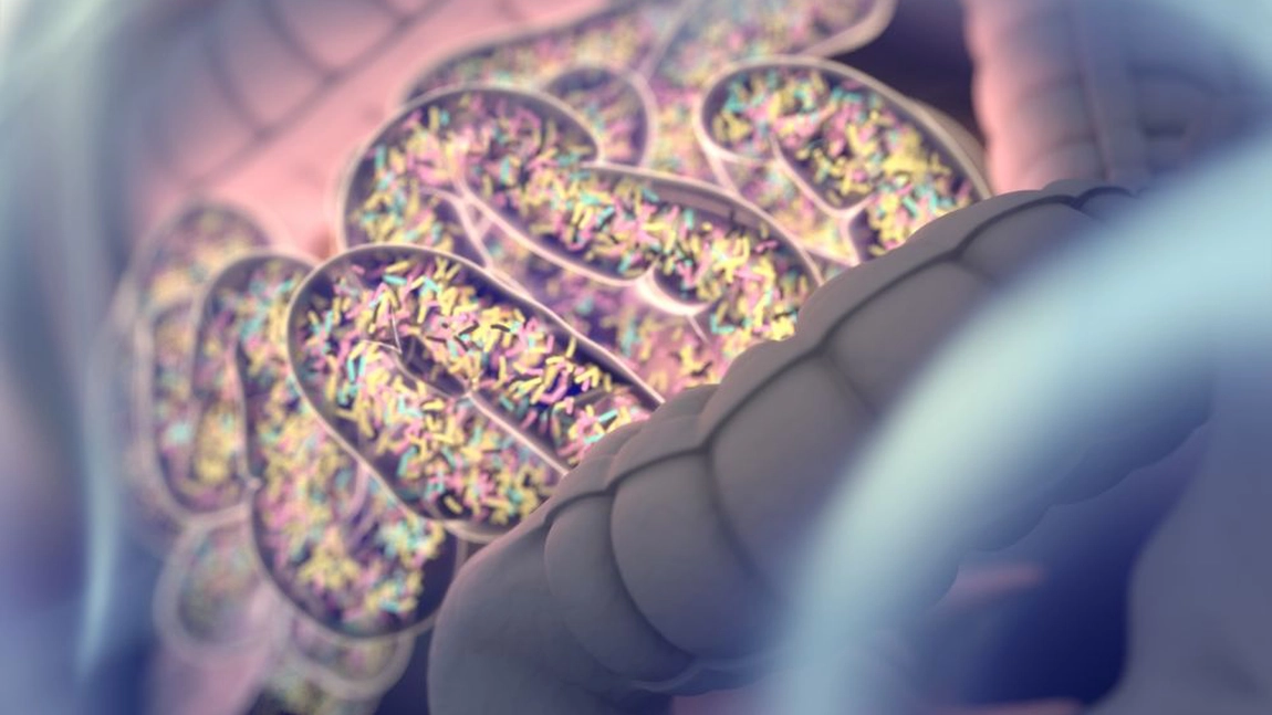 Nu numai ceea ce mănânci, ci și modul în care mănânci îți poate afecta microbiomul