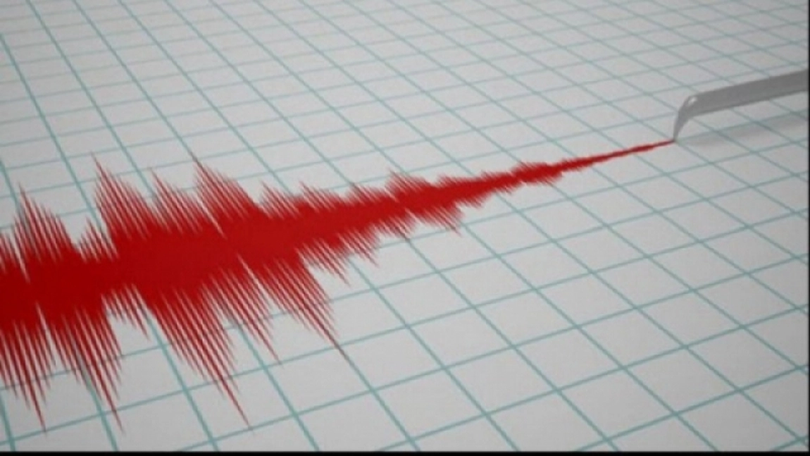 Cutremur în zona seismică Vrancea în prima zi a lunii