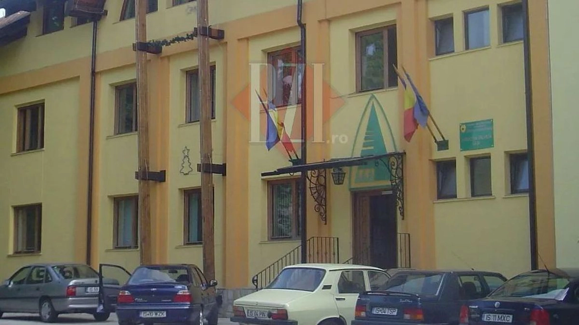Amenzi de aproape 100.000 de lei date de Direcția Silvică Iași
