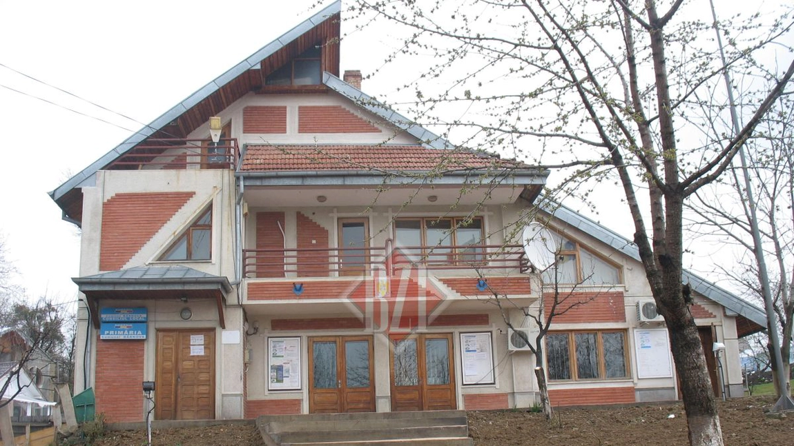 Scene șocante în primărie. Păruială în toată regula între primar și viceprimar, de față cu Poliția Locală! Au zburat scaune în birou