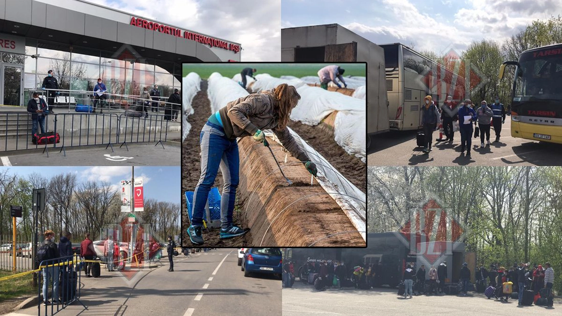 Un adevărat dezastru putea avea loc la Iași, în plină pandemie de COVID-19. Oameni fugiți din zone aflate în carantină, prinși la marginea orașului. Mașinile cu număr de Suceava vor fi oprite la intrarea în județ