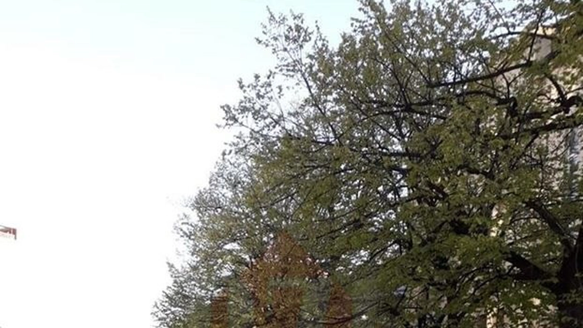 Atenţie, ieşeni! Bulevardul Ştefan cel Mare este închis pe sensul spre piață! Se montează cupola la Palatul Braunstein - FOTO