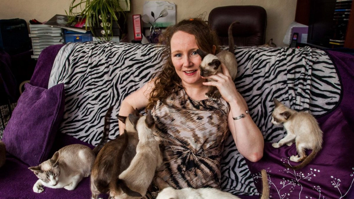 ONU, despre transmiterea COVID-19 de la om la animale: „Pisicile pot fi infectate cu coronavirus!“