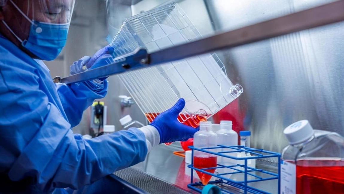 Tratamentul împotriva Covid-19. Medic virolog: „Anticorpii dezvoltați de un pacient vindecat de coronavirus să fie dați altuia care se luptă cu virusul”