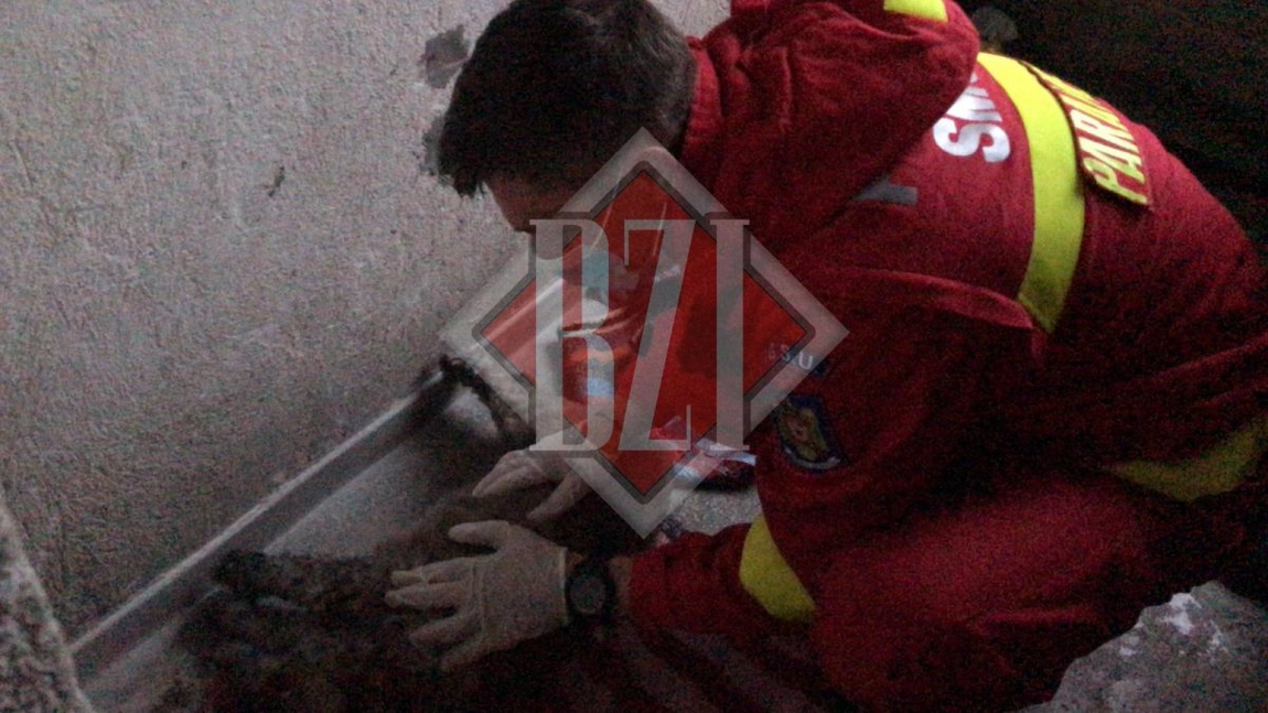 Video viral! Un cățel și o pisică, resuscitați de pompierii ieșeni. Aceștia au fost prinși într-un incendiu izbucnit la o locuință - Video