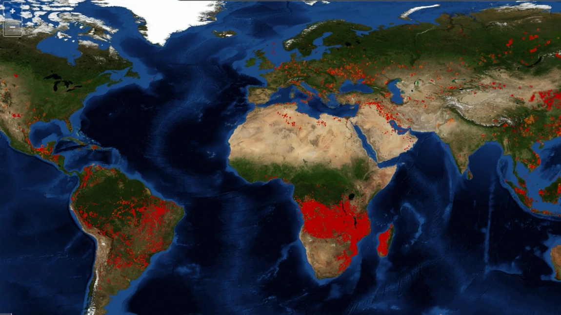 Avertismente: Urmatoarea pandemie va veni din Amazon! Iata cauzele!