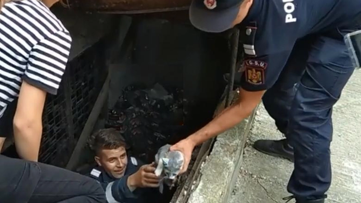 O pisică blocată sub beton a fost salvată de pompierii ieșeni în cartierul Alexandru cel Bun