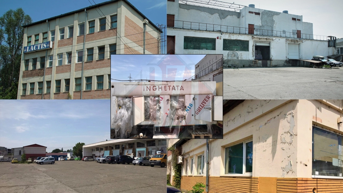 Celebra fabrică Lactis Iași a produs înghețată, unt și iaurt pentru toată România. Fosta întreprindere din Zona Industrială Iași este acum o ruină, iar terenurile au fost cedate firmelor private. Devalizatorii au scăpat cu mâinile curate - FOTO