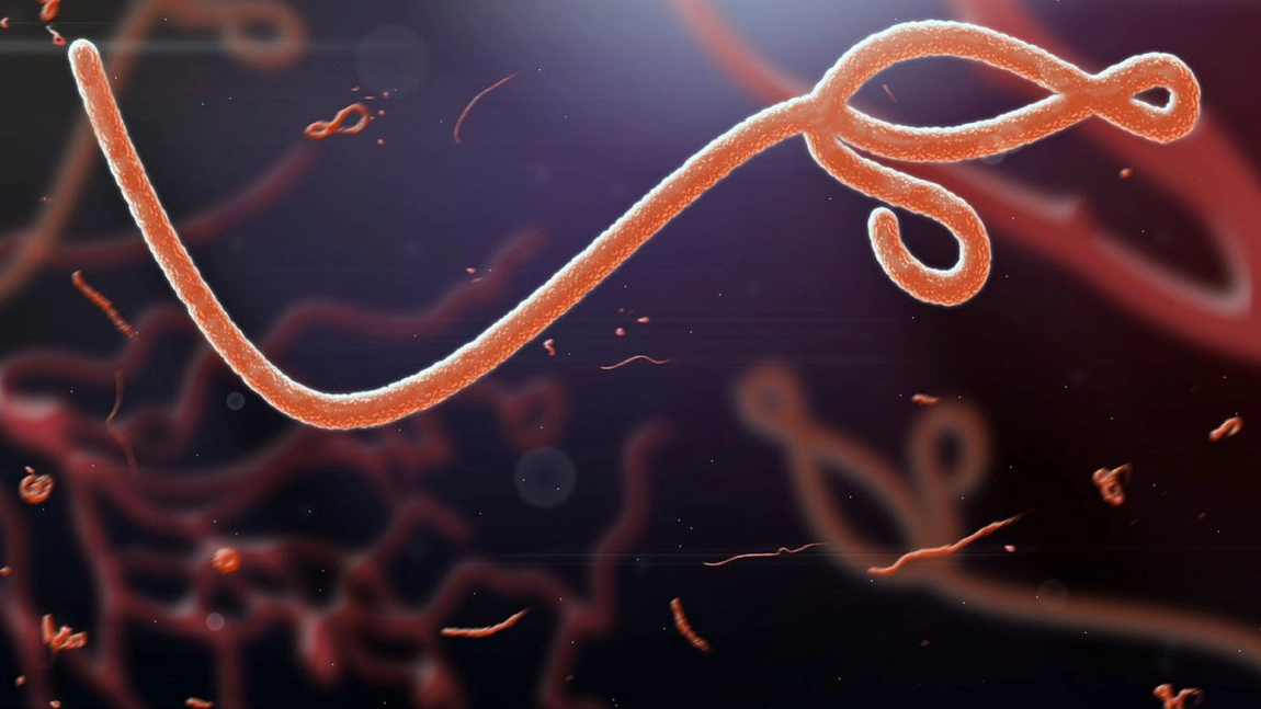 După Covid-19, ar trebui să ne temem de un virus și mai periculos?