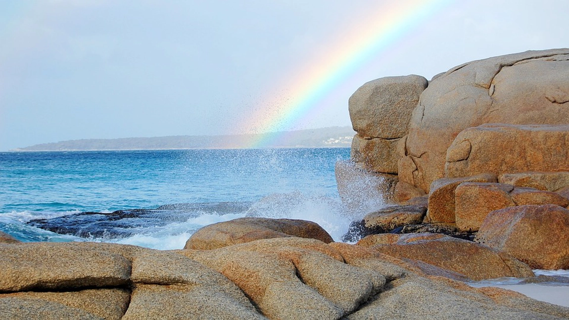 Care este pluralul de la 