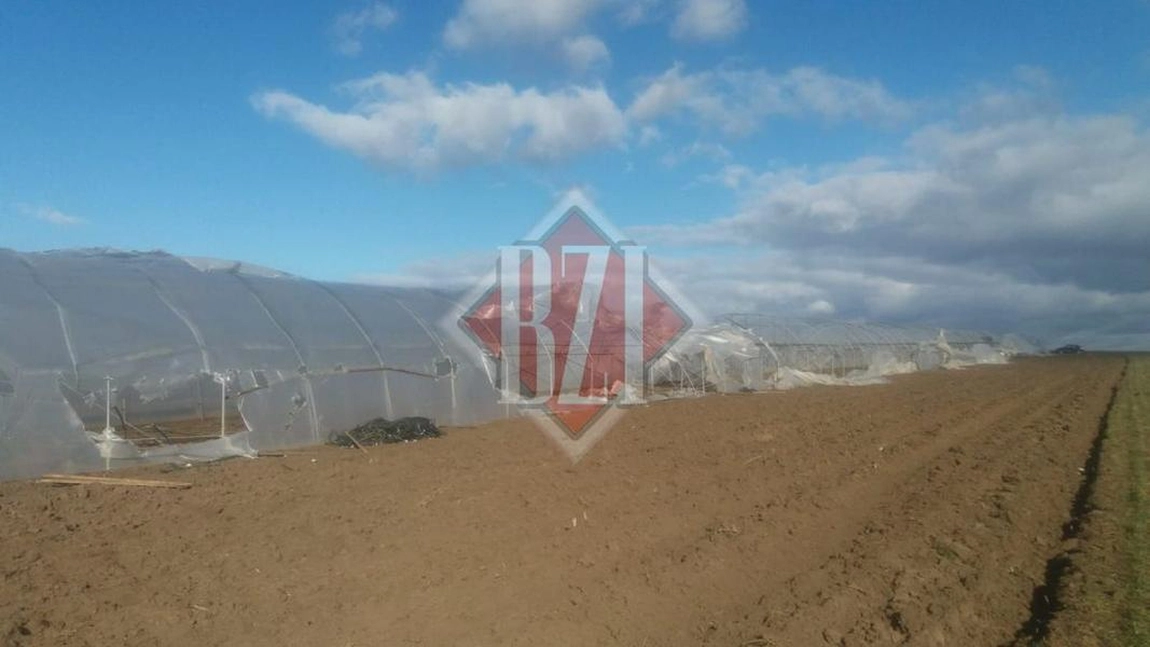 Grindina și ploile au făcut prăpăd în județul Iași. Solariile fermierilor din Iași au fost distruse în câteva secunde, iar pierderile se ridică la câteva sute de mii de euro
