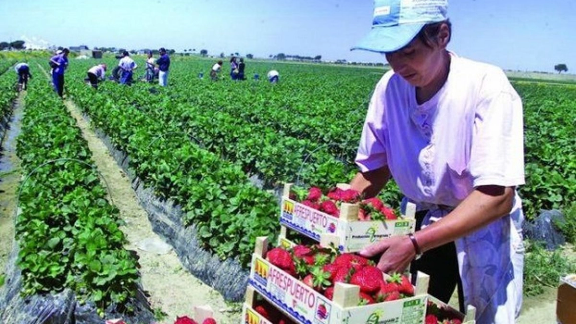 Îngrijorător! Condiții grele și salarii mici pentru românii plecați în Germania la muncă