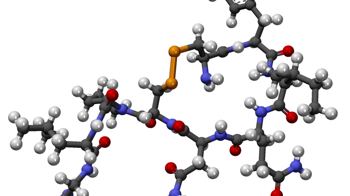 Oxitocina, hormonului dragostei, poate ajuta la tratarea bolii Alzheimer