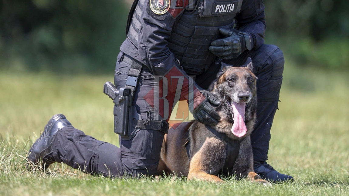 A fost în misiuni dificile și este spaima infractorilor! Toi, câinele polițist de la Serviciul pentru Acțiuni Speciale, a împlinit 5 ani! - FOTO, VIDEO