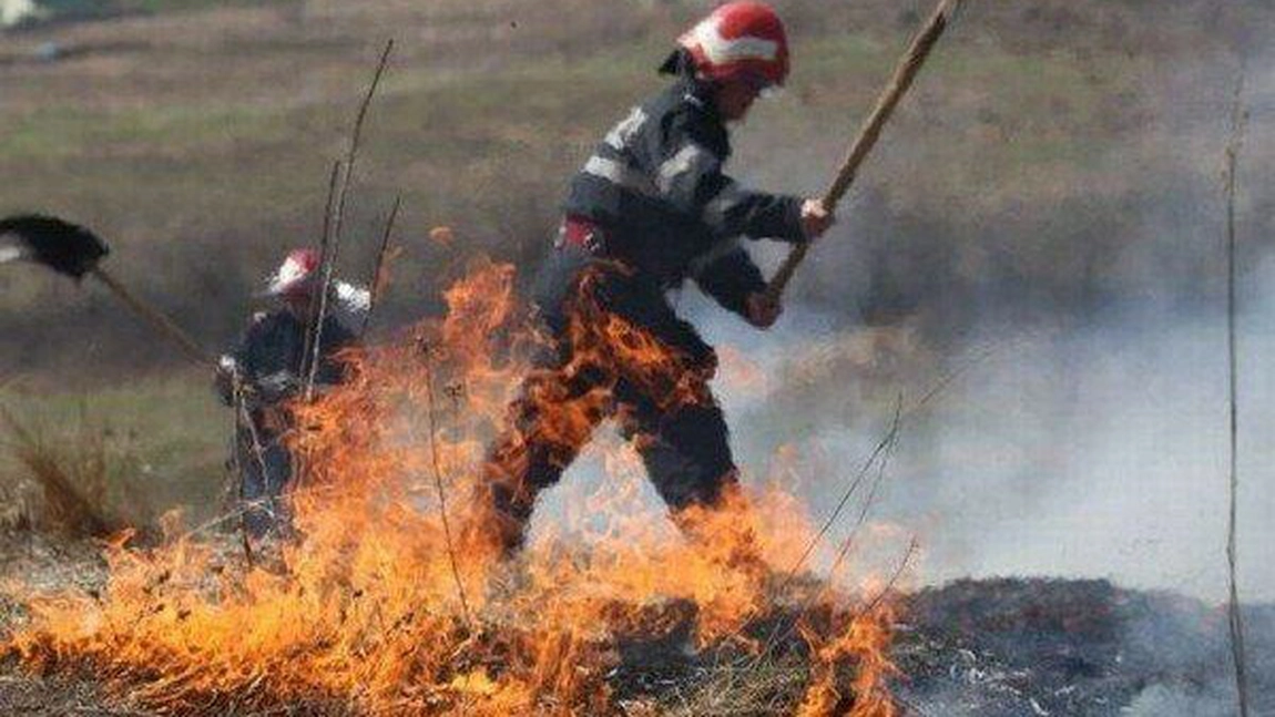 APIA aduce lămuriri referitoare la interdicția arderii resturilor vegetale