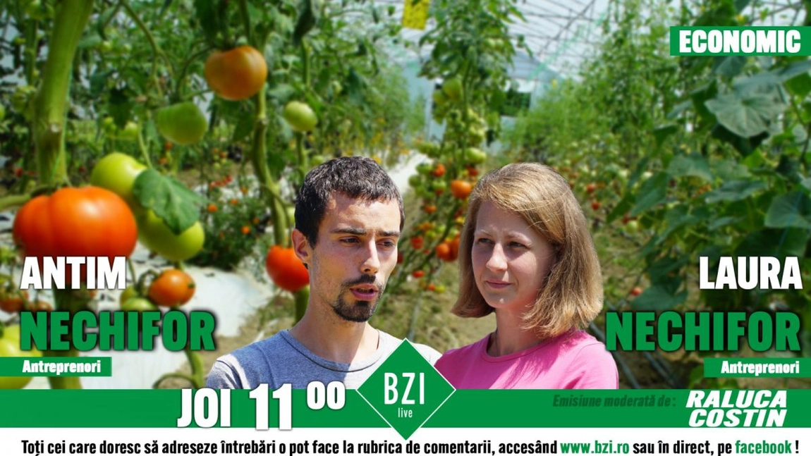 LIVE VIDEO - Povestea unei tinere familii de horticultori care a ales să se mute la ţară pentru a face agricultură ecologică, numai la BZI LIVE - FOTO