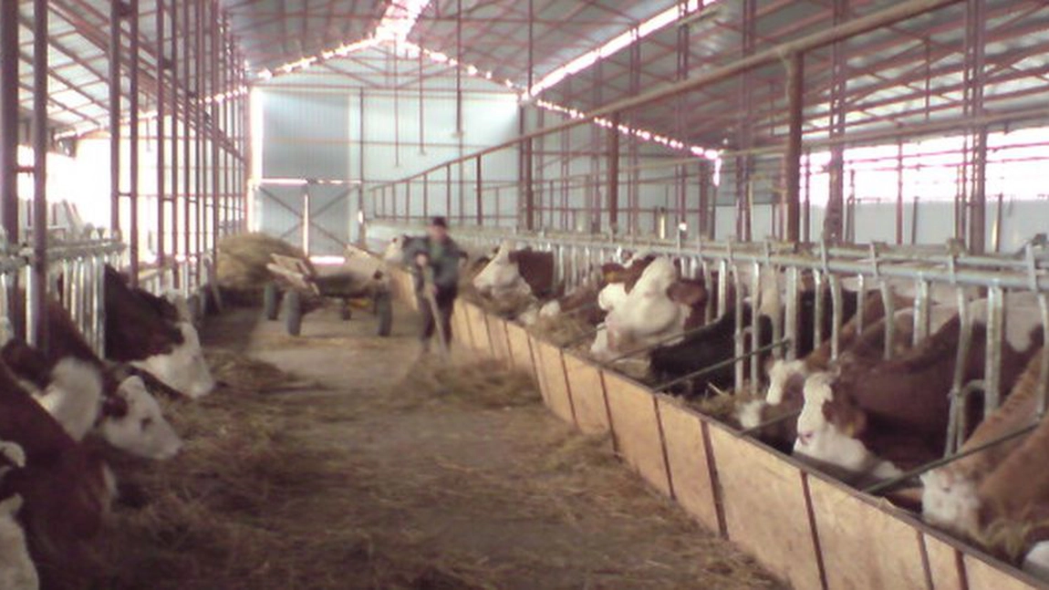 Fermierii din Iași afectați de pandemia de COVID-19 primesc până la 100.000 de euro ajutoare financiare de la Uniunea Europeană