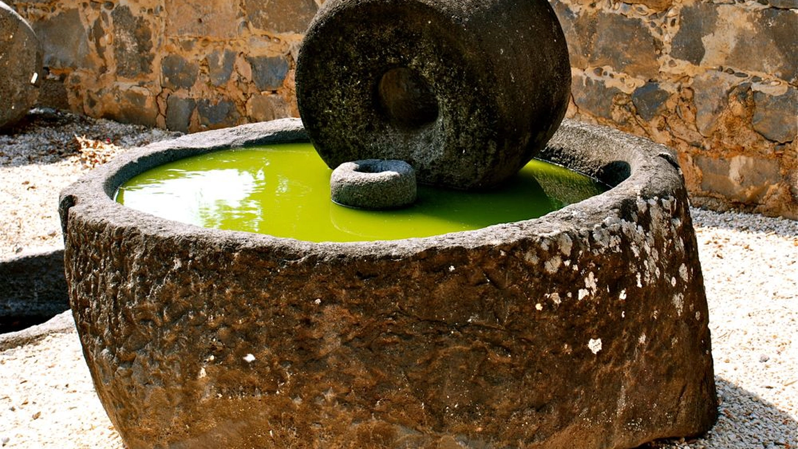 8 motive pentru a adăuga ulei de măsline în dieta ta