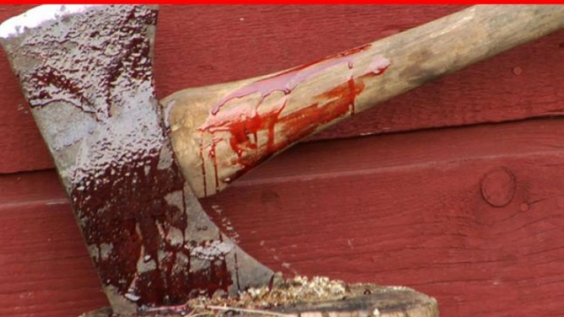 Crime oribile, în Iași! Acuzat că și-a ciopârțit propriul tată cu toporul! Un alt ieșean, suspectat că a omorât un cunoscut și i-a lăsat cadavrul în drum!