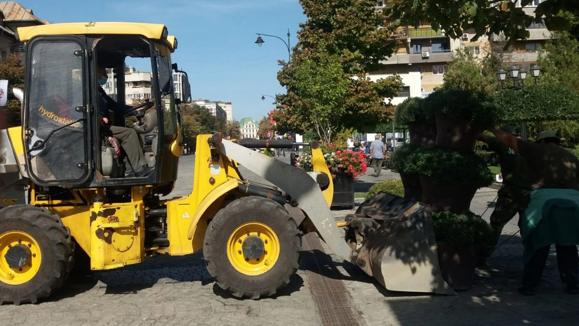 Servicii Publice Iași a început campania de toamnă: au fost plantate 18.000 de crizanteme pe raza orașului Iași, iar alte 7.000 sunt pregătite pentru sărbătoarea Sfintei Cuvioase Parascheva