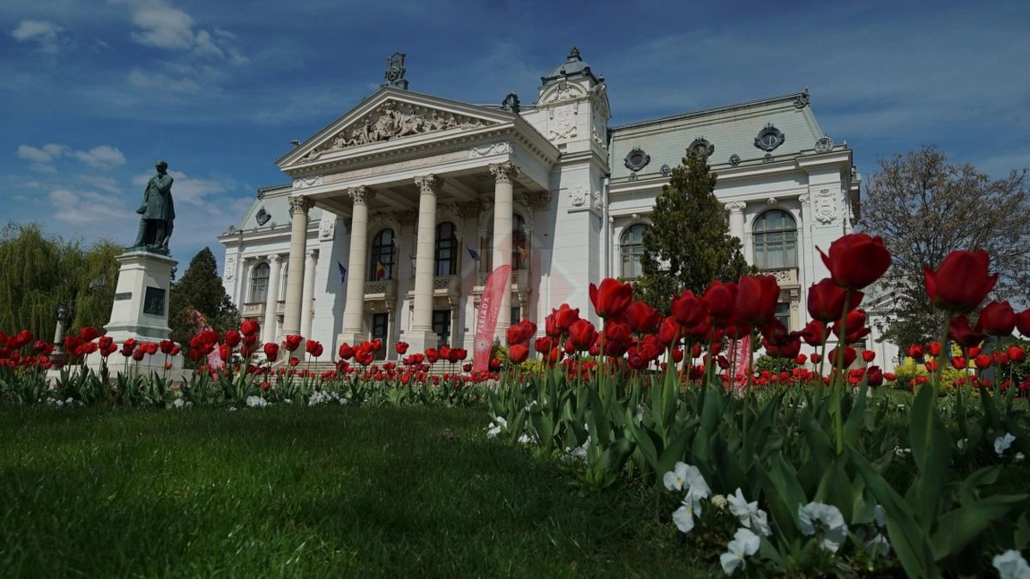 Proiectul teatral 