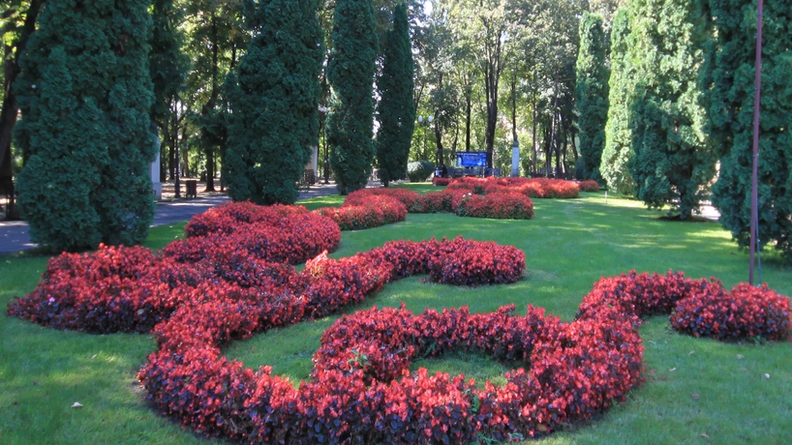 Pregătiri pentru campania de plantări de toamnă