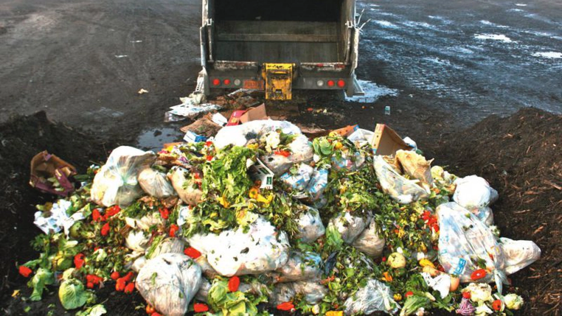 România este fruntașă la aruncatul mâncării la gunoi. Românii aruncă milioane de tone de alimente la gunoi