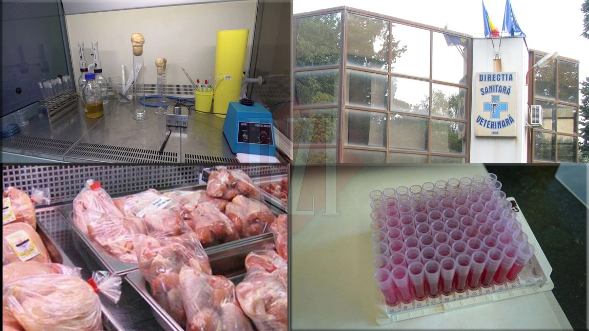 Carne de pasăre adusă din Polonia, în Iași, infestată cu Salmonella. Zeci de tone de produse contaminate au fost retrase înainte de a ajunge pe mesele ieșenilor