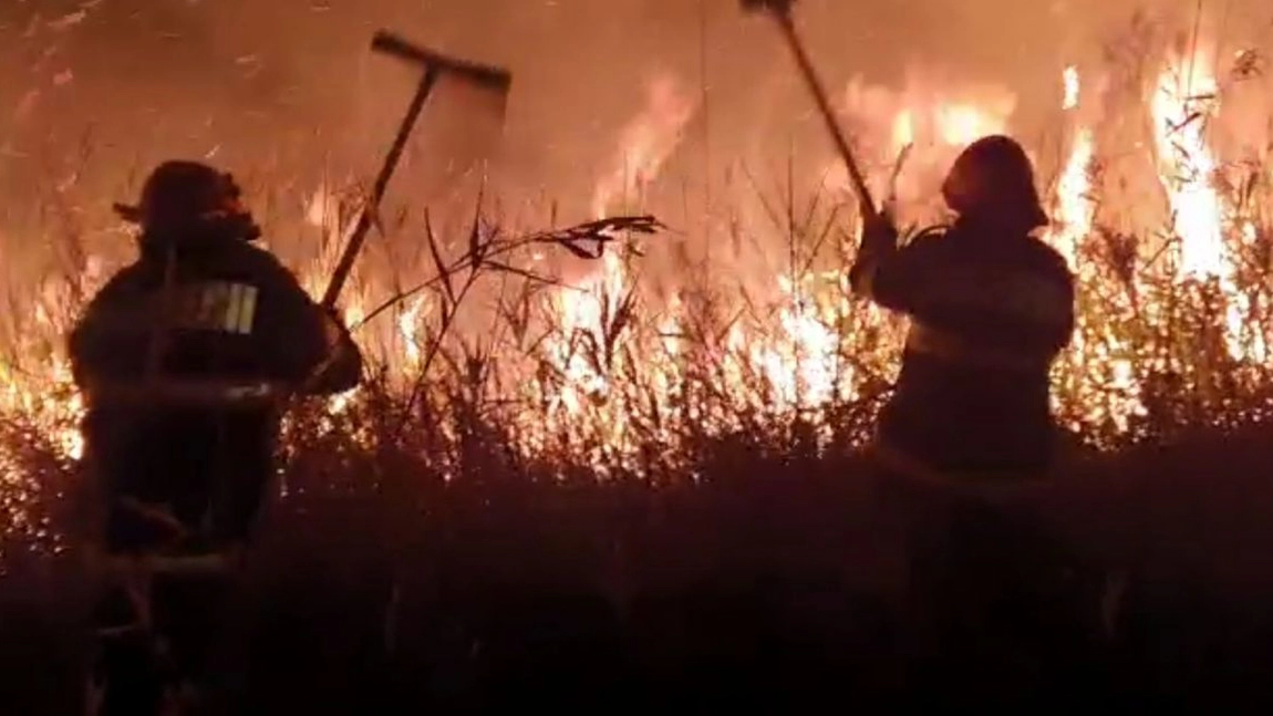 Incendiu amplu în Rezervaţia Deltei Dunării. Au ars circa 400 de hectare de vegetaţie - VIDEO