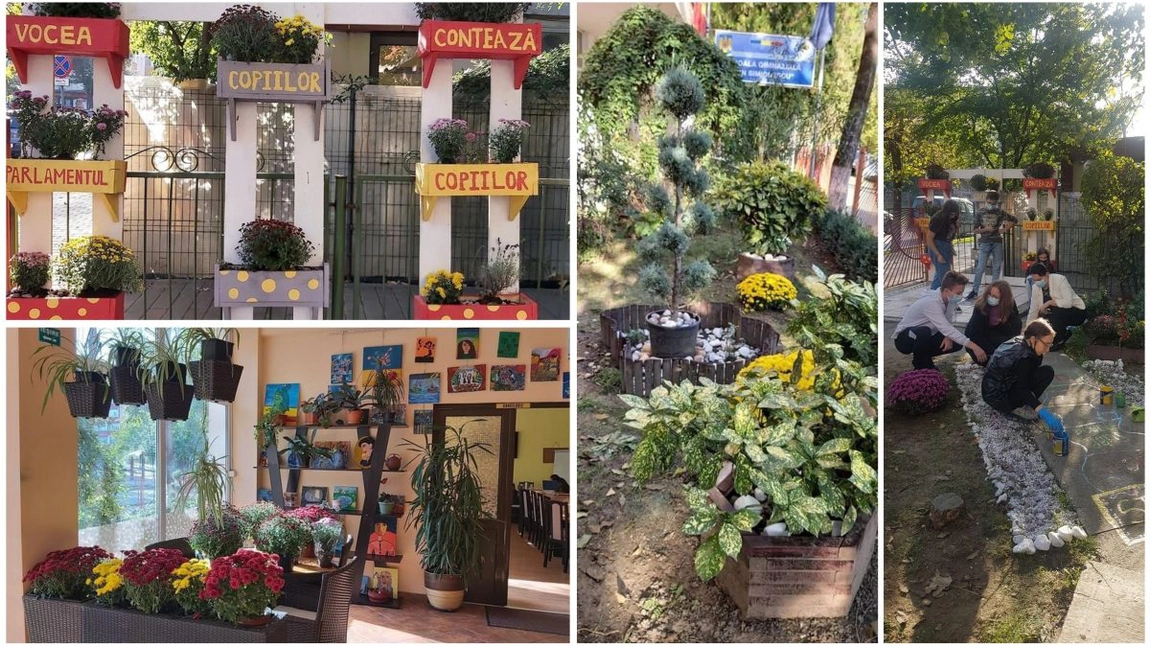 Colț verde superb, amenajat în cadrul unui proiect derulat de elevi și profesori de la Școala Gimnazială 