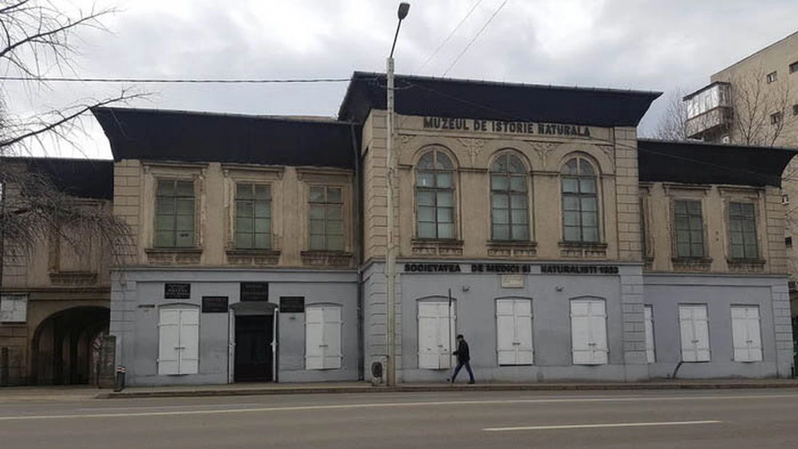 Concurs pentru postul de director la Muzeul de Istorie Naturală din Iași, clădire de patrimoniu aflată în proces de reabilitare și restaurare