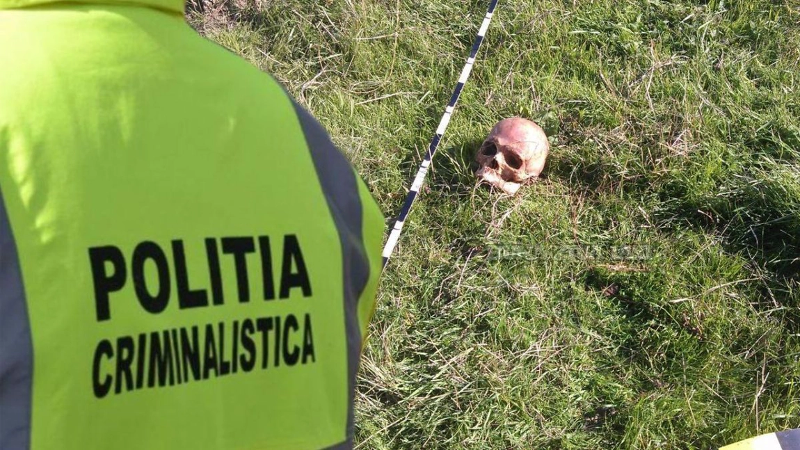 Descoperire macabră! O bucată dintr-un cap de om a fost găsită de un copil, pe un câmp din Iași. Poliția a împânzit zona și a intrat în alertă! Se așteaptă rezultatele analizelor (Exclusiv)