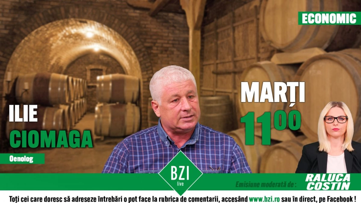 LIVE VIDEO - Discuție cu Ilie Ciomaga, oeonolog, despre anul 2020 și producția de vinuri, numai la BZI LIVE - FOTO