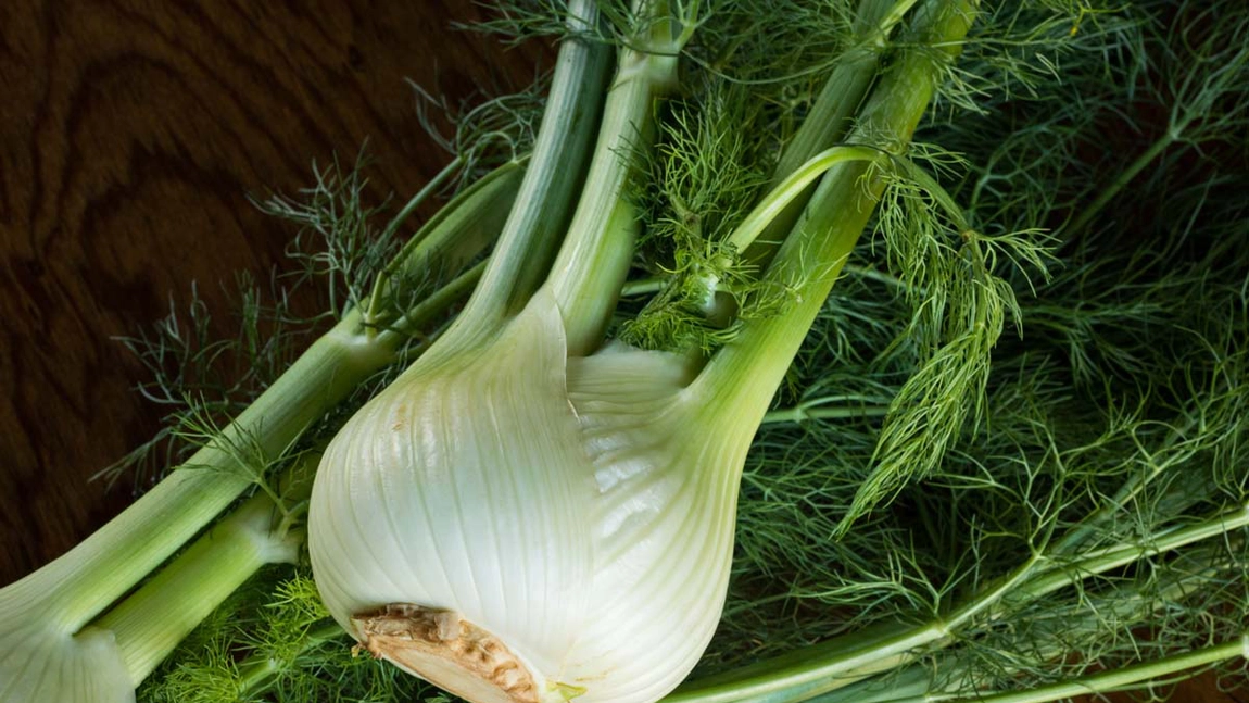 5 beneficii ale feniculului pentru sănătate