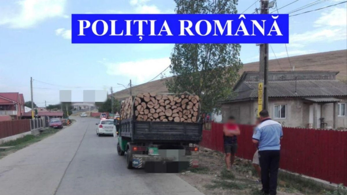 Polițiștii din Iași au ridicat mai mulți metri cubi de material lemnos. Controalele continuă în această perioadă
