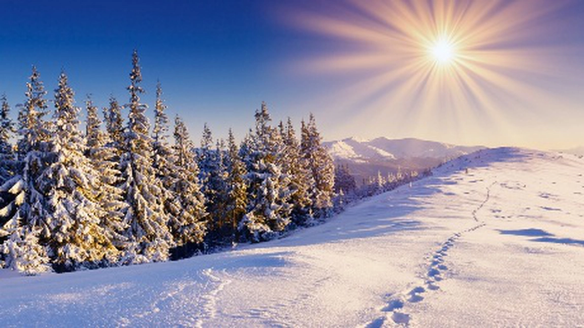 4 modalități de a obține mai multă vitamina D în timpul iernii