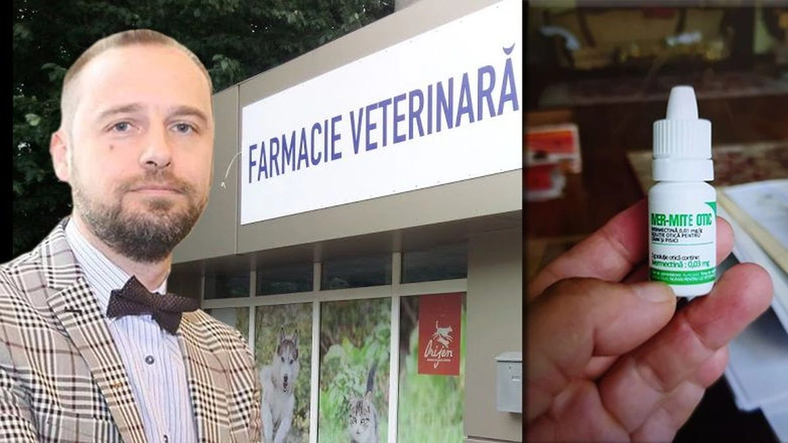 Medicii din Iași sunt în alertă! Un medicament administrat câinilor și pisicilor a dispărut din farmacii și depozite după ce ieșenii au aflat că îi vindecă de COVID-19