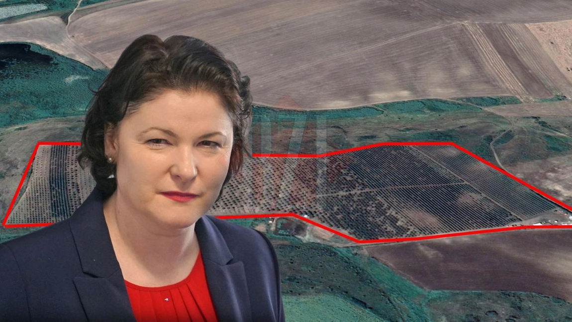 Moșia directorului Carmen Cumpăt, de la Spitalul de Recuperare din Iași! Zeci de hectare camuflate în pădurile din comuna Probota. Afacerea a fost făcută cu o firmă deținută de danezi - FOTO