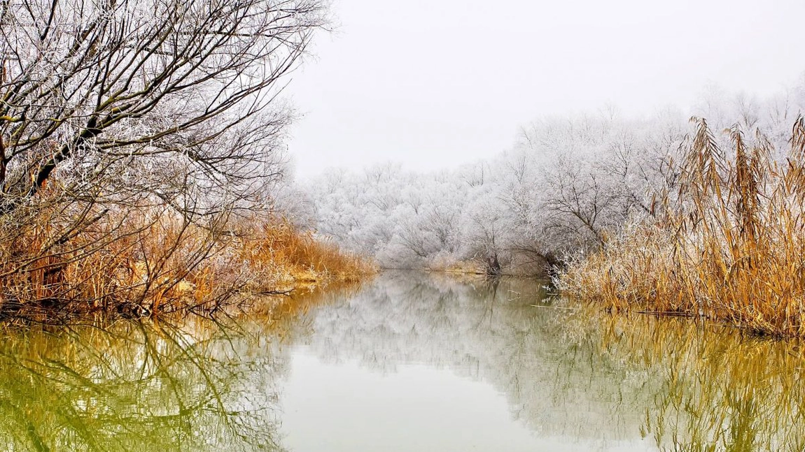 Delta Dunării, frumoasă în orice anotimp. Ce prețuri sunt în extrasezon și cu ce atracții vă așteaptă