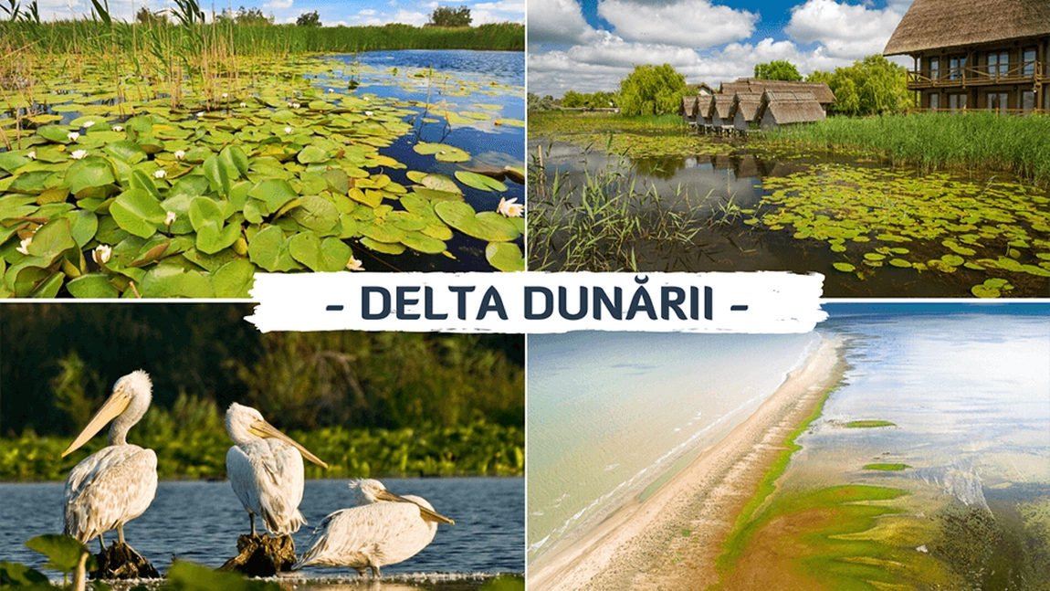 Patronii din Delta Dunării vor fi puternic afectaţi de tăierea voucherilor de vacanță: Este mai simplu să se importe medicamente decât să se trateze oamenii pe cale naturală